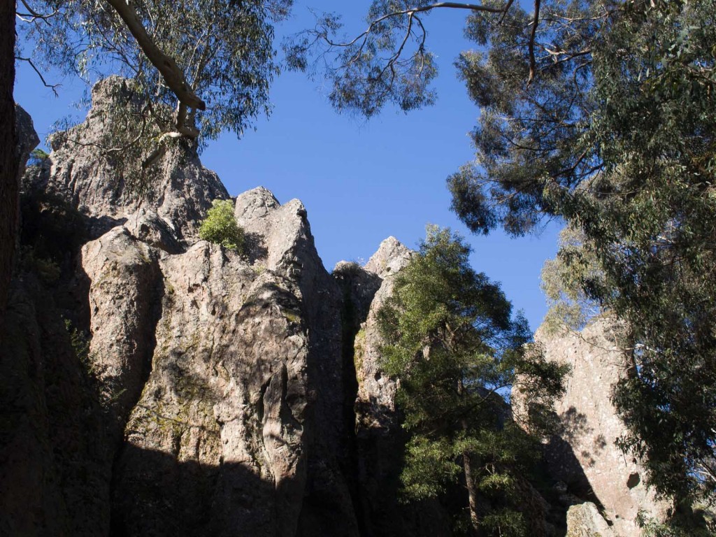 View up Hanging Rock